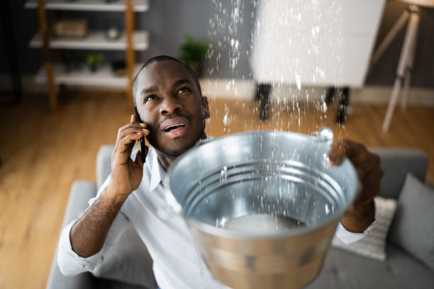 Best Water damage contractors near me  in Century, FL