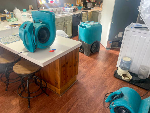 Best Water damage mitigation services  in Century, FL