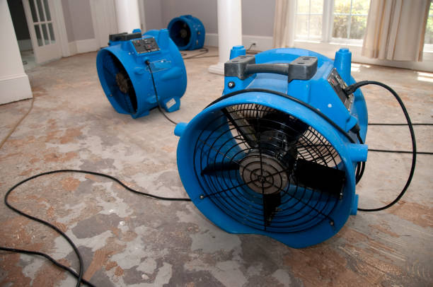 Reliable Century, FL Water damage restoration Solutions