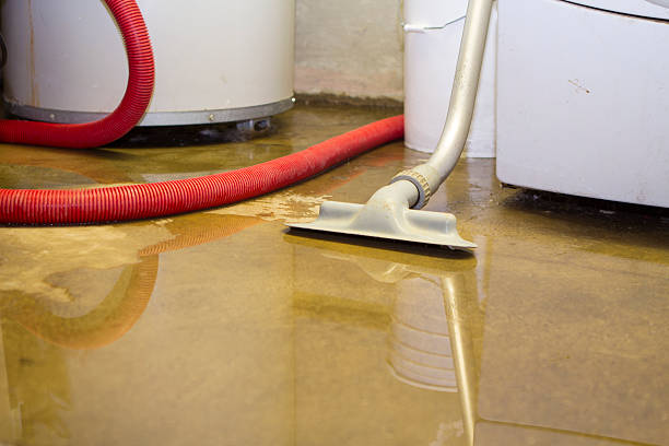 Sewage cleanup and water damage restoration in Century, FL