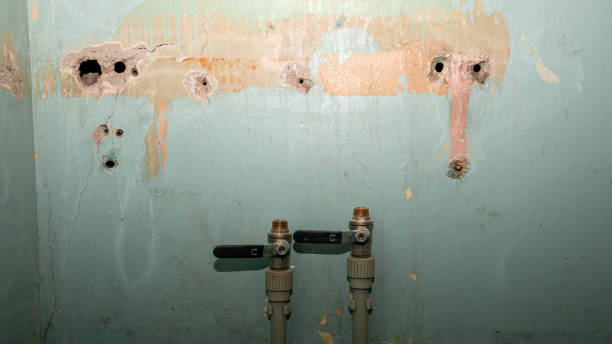 Best Fire Damage Restoration  in Century, FL