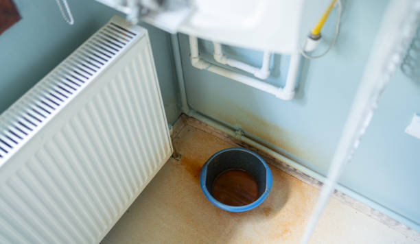 Best Water damage restoration near me  in Century, FL