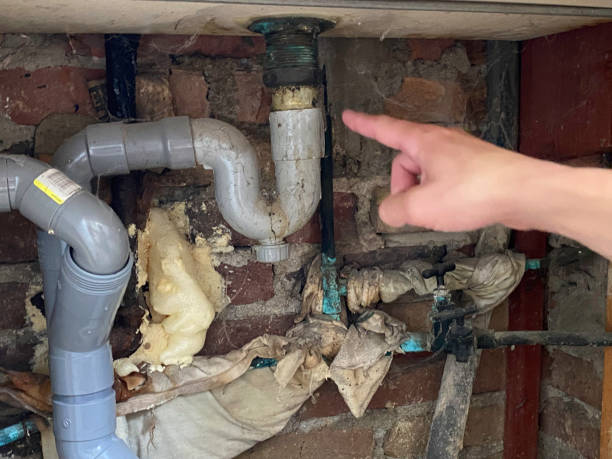 Best Flooded house restoration  in Century, FL